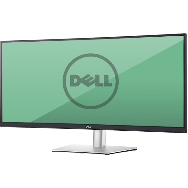 Dell Professional P3418HW 34